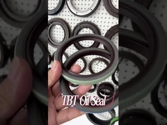 스코네 트럭 80x100x12mm을 위한 OEM 12011821B FKM 충돌 크랭크축 오일 실